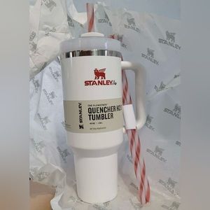 Stanley Cup Mistletoe Twist Limited Edition Tumbler 40oz